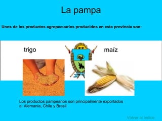 PRODUCCION AGRICOLA EN ARGENTINA Y EL CONFLICTO DEL CAMPO | PPT