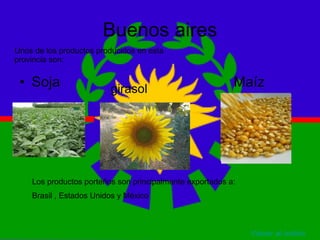 PRODUCCION AGRICOLA EN ARGENTINA Y EL CONFLICTO DEL CAMPO | PPT