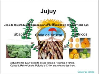 PRODUCCION AGRICOLA EN ARGENTINA Y EL CONFLICTO DEL CAMPO | PPT
