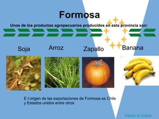 PRODUCCION AGRICOLA EN ARGENTINA Y EL CONFLICTO DEL CAMPO | PPT