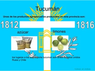 PRODUCCION AGRICOLA EN ARGENTINA Y EL CONFLICTO DEL CAMPO | PPT