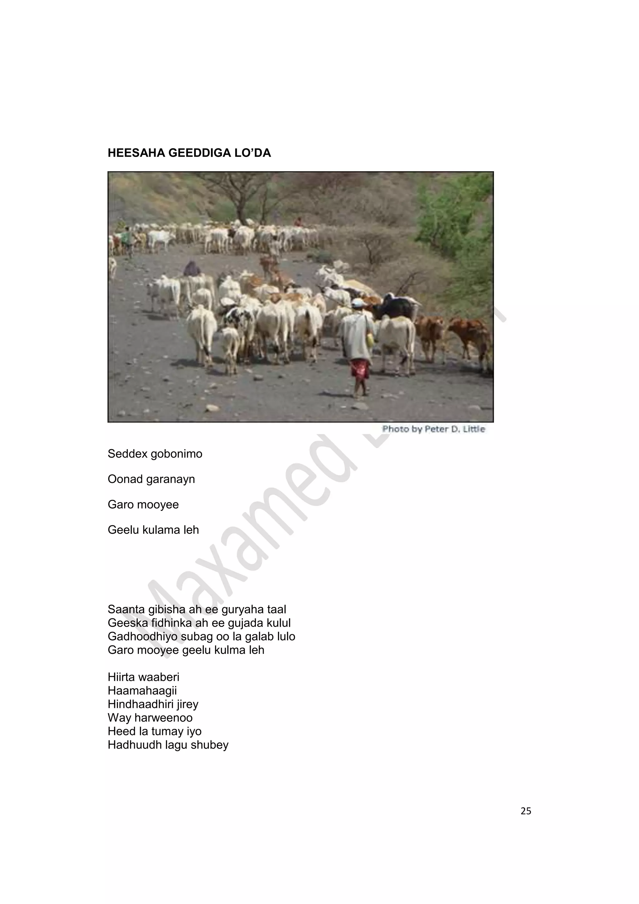 25
HEESAHA GEEDDIGA LO’DA
Seddex gobonimo
Oonad garanayn
Garo mooyee
Geelu kulama leh
Saanta gibisha ah ee guryaha taal
Geeska fidhinka ah ee gujada kulul
Gadhoodhiyo subag oo la galab lulo
Garo mooyee geelu kulma leh
Hiirta waaberi
Haamahaagii
Hindhaadhiri jirey
Way harweenoo
Heed la tumay iyo
Hadhuudh lagu shubey
 