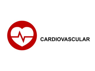 CARDIOVASCULAR
 