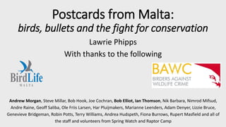 Postcards from Malta:
birds, bullets and the fight for conservation
Lawrie Phipps
With thanks to the following
Andrew Morgan, Steve Millar, Bob Hook, Joe Cochran, Bob Elliot, Ian Thomson, Nik Barbara, Nimrod Mifsud,
Andre Raine, Geoff Saliba, Ole Friis Larsen, Har Pluijmakers, Marianne Leenders, Adam Denyer, Lizzie Bruce,
Genevieve Bridgeman, Robin Potts, Terry Williams, Andrea Hudspeth, Fiona Burrows, Rupert Masfield and all of
the staff and volunteers from Spring Watch and Raptor Camp
 