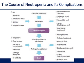 The Course of Neutropenia and Its Complications
 