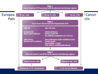 Mangement
European Organisation for Research and Treatment of Cancer
Patient Assessment Algorithm to Decide Prophylactic
Granulocyte Colony-stimulating Factor Usage
 
