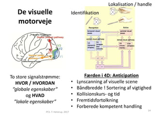 To store signalstrømme:
HVOR / HVORDAN
”globale egenskaber”
og HVAD
”lokale egenskaber”
De visuelle
motorveje
PCS. T. Helstrup. 2017
14
Identifikation
Lokalisation / handle
Færden i 4D: Anticipation
• Lynscanning af visuelle scene
• Båndbredde ! Sortering af vigtighed
• Kollisionskurs- og tid
• Fremtidsfortolkning
• Forberede kompetent handling
 