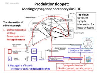Produktionsloopet:
Meningsopsøgende saccadecyklus i 3D
Stødpude 2D: Version
Opsøgende fiksation 3D:
Fiksation, pursuit, saccade, vergens
PCS. T. Helstrup. 2017
15
1
2
1. Elektromagnetisk
stråling:
Extroceptiv sans
Perceptionsrute
2. Bevægelse af hoved:
Introceptiv sans > Billedstabilisering
Transformation af
stimulusenergi:
Top-down
Udvælger
vigtigste
information fra
baggrundscene
 