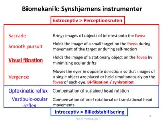 Saccade Brings images of objects of interest onto the fovea
Smooth pursuit
Holds the image of a small target on the fovea during
movement of the target or during self-motion
Visual fiksation
Holds the image of a stationary object on the fovea by
minimizing ocular drifts
Vergence
Moves the eyes in opposite directions so that images of
a single object are placed or held simultaneously on the
fovea of each eye. BI-fiksation / synkronitet
Optokinetic reflex Compensation of sustained head rotation
Vestibulo-ocular
reflex
Compensation of brief rotational or translational head
movements
PCS. T. Helstrup. 2017
16
Biomekanik: Synshjernens instrumenter
Extroceptiv > Perceptionsruten
Introceptiv > Billedstabilisering
 