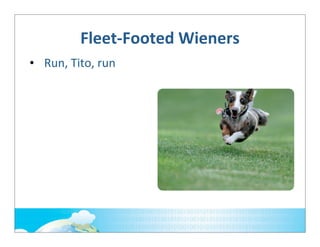Fleet-­‐Footed	
  Wieners
• Run,	
  Tito,	
  run

 