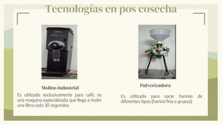 Tecnologías en pos cosecha
Pulverizadora
Es utilizado para sacar harinas de
diferentes tipos (harina fina o gruesa)
Molino industrial
Es utilizado exclusivamente para café, es
una maquina especializada que llega a moler
una libra cada 30 segundos.
 
