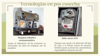 Tecnologías en pos cosecha
Briks meter DTS
Maquina que ayuda a la detección del tipo
de café, y el tiempo exacto de cosecha,
también ayuda a conocer las características
organolépticas del grano de café.
Maquina selladora
semiautomática
Ayuda al sellamiento de los productos ya
procesados, los tipos de empaque son de
propileno.
 