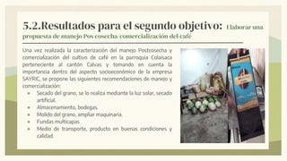 5.2.Resultados para el segundo objetivo: Elaborar una
propuesta de manejo Pos cosecha/comercialización del café
Una vez realizada la caracterización del manejo Postcosecha y
comercialización del cultivo de café en la parroquia Colaisaca
perteneciente al cantón Calvas y tomando en cuenta la
importancia dentro del aspecto socioeconómico de la empresa
SAYRIC, se propone las siguientes recomendaciones de manejo y
comercialización:
● Secado del grano, se lo realiza mediante la luz solar, secado
artificial.
● Almacenamiento, bodegas.
● Molido del grano, ampliar maquinaria.
● Fundas multicapas
● Medio de transporte, producto en buenas condiciones y
calidad.
 