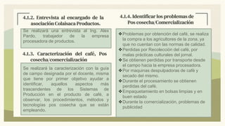 4.1.2. Entrevista al encargado de la
asociación Colaisaca Productos.
4.1.3. Caracterización del café, Pos
cosecha/comercialización
4.1.4. Identificar los problemas de
Pos cosecha/Comercialización
Se realizará una entrevista al Ing. Alex
Pardo, trabajador de la empresa
procesadora de productos.
Se realizará la caracterización con la guía
de campo designada por el docente, misma
que tiene por primer objetivo ayudar a
identificar, aquellos aspectos más
trascendentes de los Sistemas de
Producción en el producto de café, a
observar, los procedimientos, métodos y
tecnologías pos cosecha que se están
empleando.
Problemas por obtención del café, se realiza
la compra a los agricultores de la zona, ya
que no cuentan con las normas de calidad.
Perdidas por Recolección del café, por
malas prácticas culturales del jornal.
Se obtienen perdidas por transporte desde
el campo hacia la empresa procesadora.
Por maquinas despulpadoras de café y
secado del mismo.
Durante el procesamiento se obtienen
perdidas del café.
Empaquetamiento en bolsas limpias y en
buen estado
Durante la comercialización, problemas de
publicidad
 