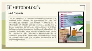 4.2.2 Propuesta
4. METODOLOGÍA
Una vez recopilado la información sobre los problemas que
presenta dicho proceso de postcosecha en café del
productor, se realizara una revisión y análisis de la
información en relación con los requisitos, condiciones y
demás exigencias del comercio internacional, y el análisis
de los principales factores que inciden sobre la calidad del
producto, se hará un breve estudio de las diferentes etapas
de postcosecha, como también la identificación de los
problemas que pueden presentarse durante este proceso y
las posibles soluciones que se podrá implementar en la
propuesta planteada.
 