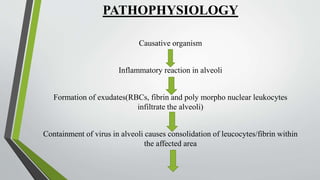 PATHOPHYSIOLOGY
Causative organism
Inflammatory reaction in alveoli
Formation of exudates(RBCs, fibrin and poly morpho nuclear leukocytes
infiltrate the alveoli)
Containment of virus in alveoli causes consolidation of leucocytes/fibrin within
the affected area
 