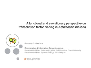 A functional and evolutionary perspective on
transcription factor binding in Arabidopsis thaliana
Potsdam, October 2014
Comparative & Integrative Genomics group
Department of Plant Biotechnology and Bioinformatics, Ghent University
Department of Plant Systems Biology, VIB - Belgium
plaza_genomics
 