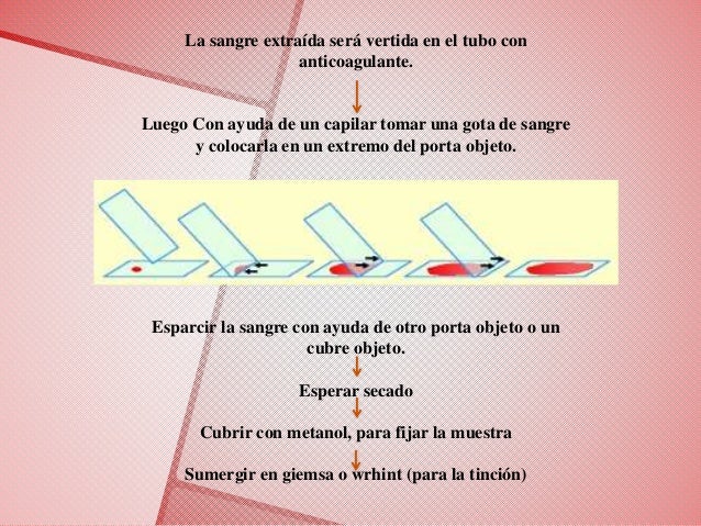 Post de frotis sanguineo