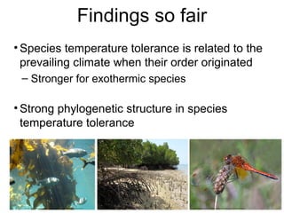 • Species temperature tolerance is related to the
prevailing climate when their order originated
– Stronger for exothermic species
• Strong phylogenetic structure in species
temperature tolerance
Findings so fair
"Bali Barat mangroves" byRonfromNieuwegein/ SouthMoretonOxfordshire, Netherlands / UK - flickr: Taman Nasional Bali Barat (West Bali National Park). Licensedunder Creative Commons Attribution-ShareAlike2.0via WikimediaCommons -
http://commons.wikimedia.org/wiki/File:Bali_Barat_mangroves.jpg#mediaviewer/File:Bali_Barat_mangroves.jpg
Christian Fischer [CC-BY-SA-3.0 (http://creativecommons.org/licenses/by-sa/3.0)], via Wikimedia CommonsBy Stef Maruch (kelp-forest.jpg) [CC-BY-SA-2.0 (http://creativecommons.org/licenses/by-sa/2.0)], via Wikimedia Commons
 