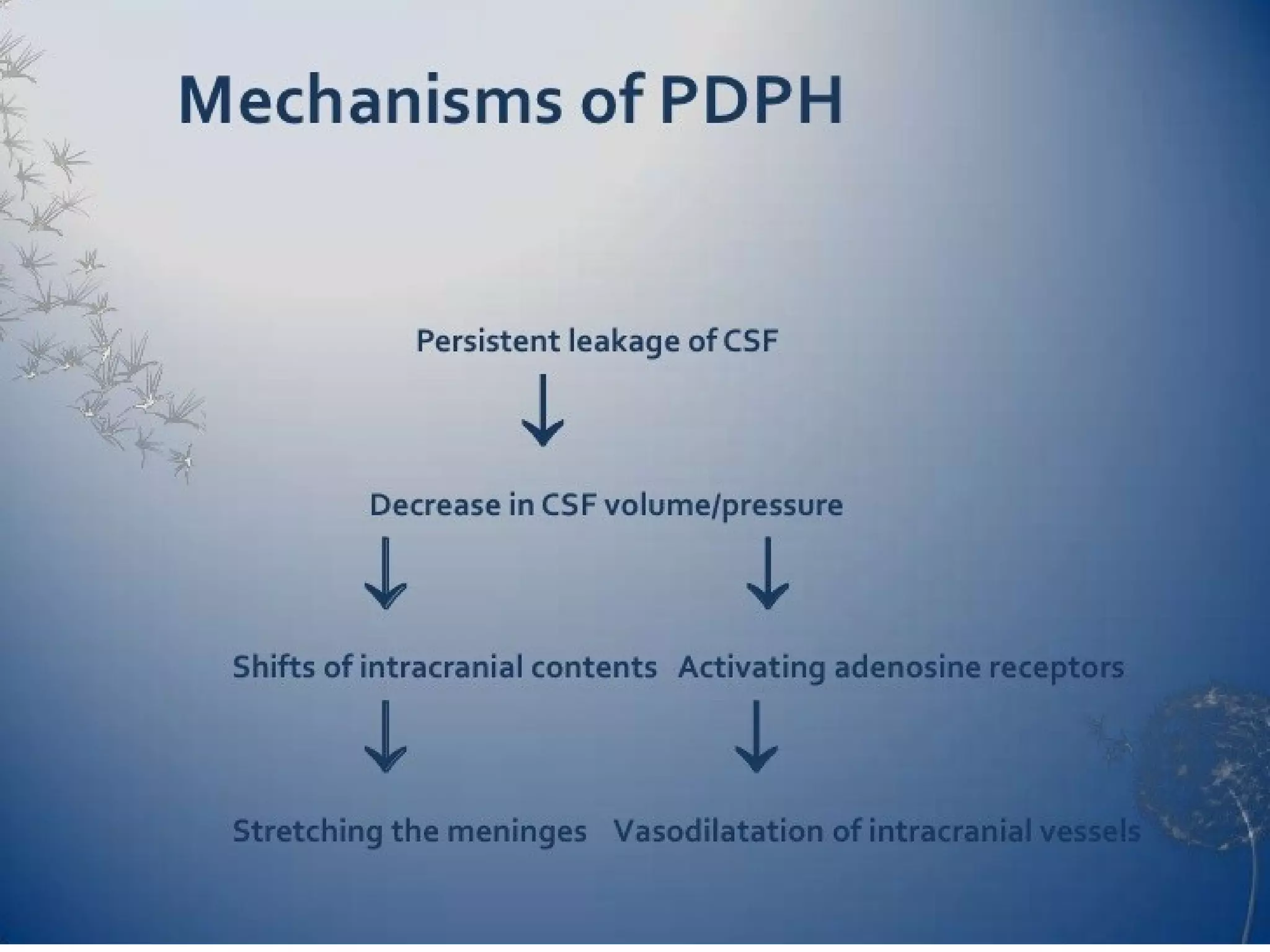 Post dural puncture headache PPT