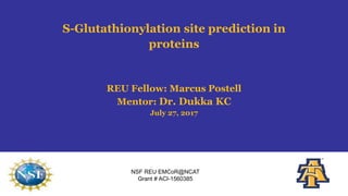 NSF REU EMCoR@NCAT
Grant # ACI-1560385
S-Glutathionylation site prediction in
proteins
REU Fellow: Marcus Postell
Mentor: Dr. Dukka KC
July 27, 2017
 