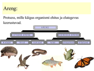 Areng :  P rotsess, mille käigus organismi ehitus ja elutegevus keerustuvad.  