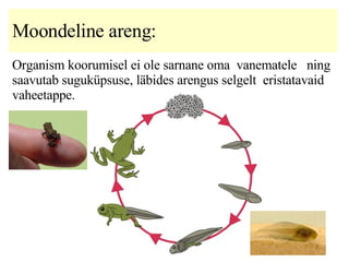 Moondeline areng :  Organism koorumisel ei ole sarnane oma  vanematele  ning saavutab suguküpsuse, läbides arengus selgelt  eristatavaid  vaheetappe. 