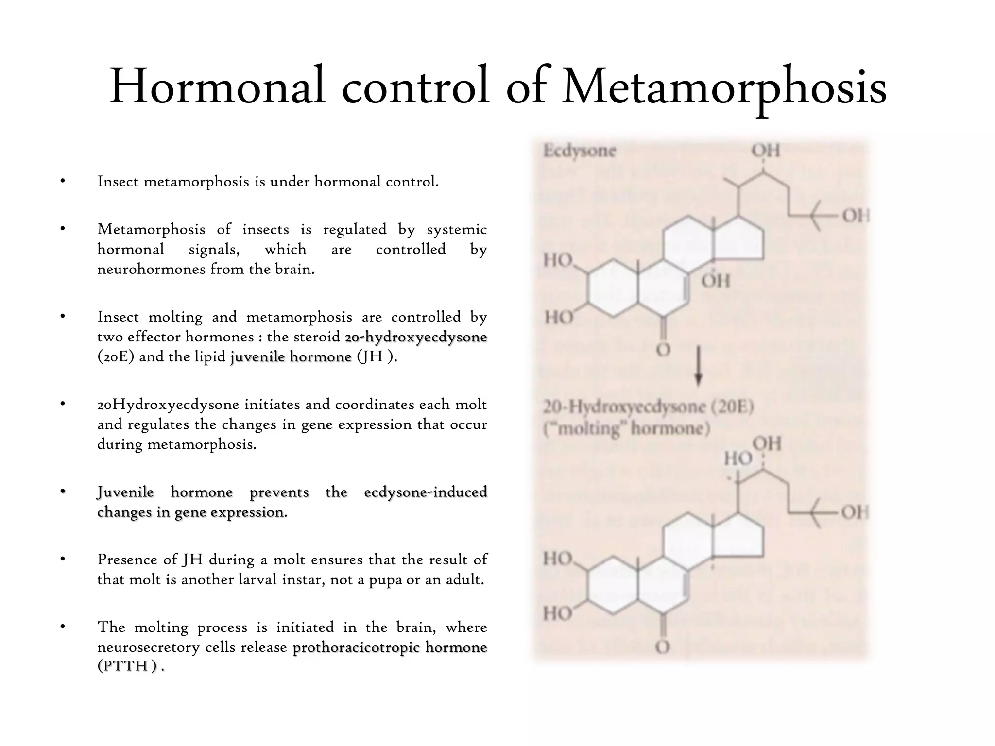 Post embryonic development | PDF