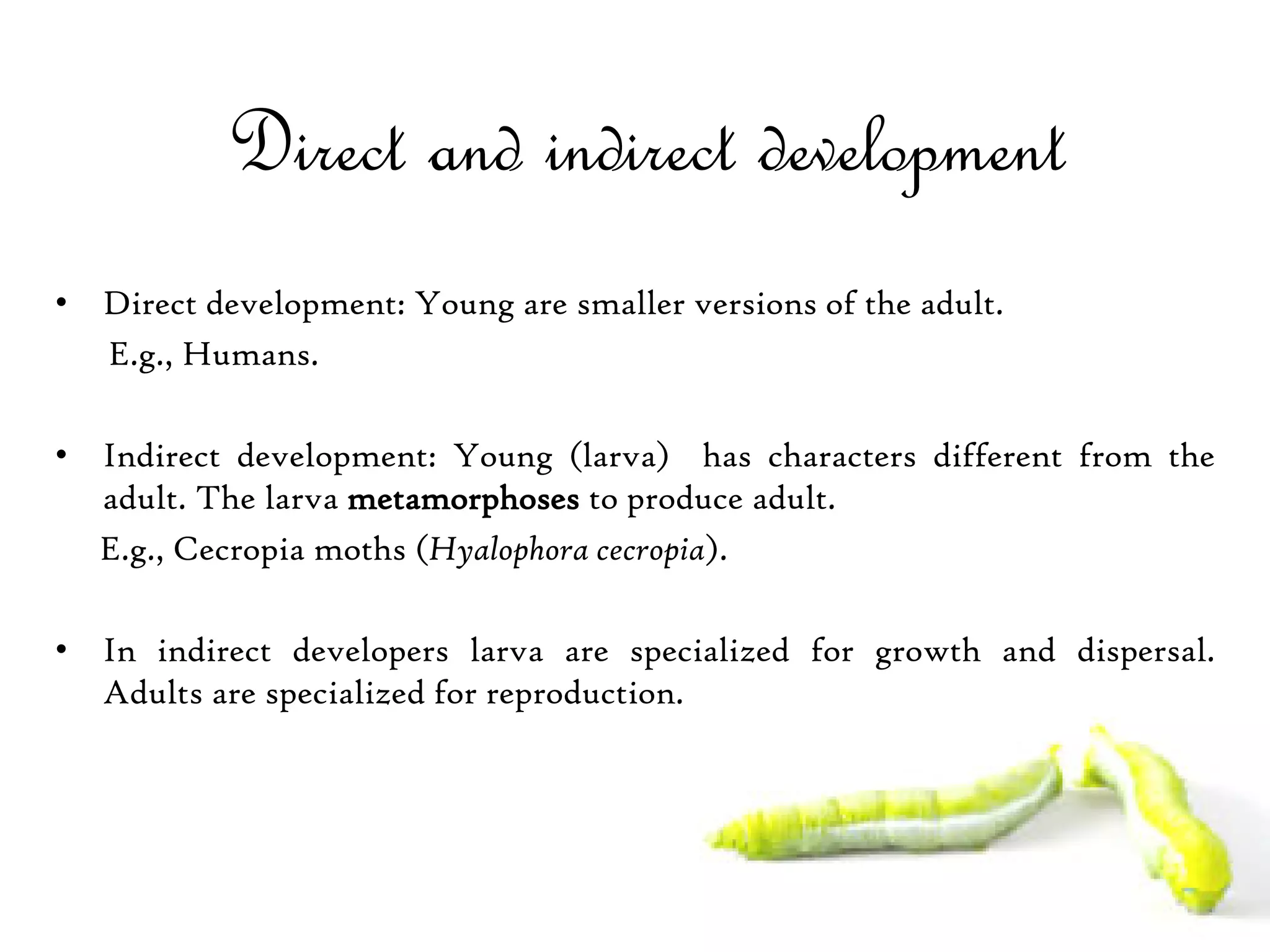Post embryonic development | PDF