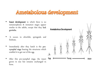 • Insect development in which there is no
metamorphosis & immature stages appear
similar to the adults, except that they lack
genitalia.
• It occurs in silverfish, springtails and
firebrats.
• Immediately after they hatch is the pro-
nymphal stage bearing the structures which
enabled it to get out of the egg.
• After this pro-nymphal stage, the insect
grows in size but remains unchanged in
form.
 