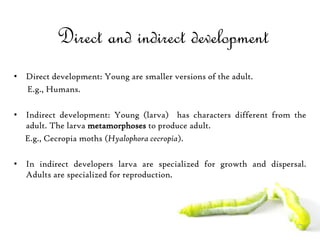 Direct and indirect development
• Direct development: Young are smaller versions of the adult.
E.g., Humans.
• Indirect development: Young (larva) has characters different from the
adult. The larva metamorphoses to produce adult.
E.g., Cecropia moths (Hyalophora cecropia).
• In indirect developers larva are specialized for growth and dispersal.
Adults are specialized for reproduction.
 