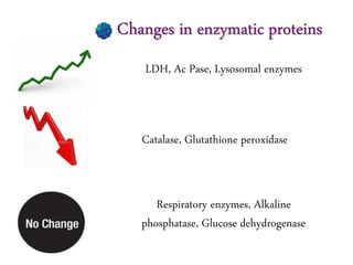 Changes in enzymatic proteins
LDH, Ac Pase, Lysosomal enzymes
Catalase, Glutathione peroxidase
Respiratory enzymes, Alkaline
phosphatase, Glucose dehydrogenase
 