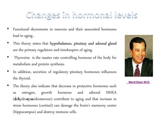 Ward Dean M.D.
• Functional decrements in neurons and their associated hormones
lead to aging .
• This theory states that hypothalamus, pituitary and adrenal gland
are the primary regulators and timekeepers of aging.
• Thyroxine is the master rate controlling hormone of the body for
metabolism and protein synthesis.
• In addition, secretion of regulatory pituitary hormones influences
the thyroid.
• The theory also indicate that decrease in protective hormones such
as estrogen, growth hormone and adrenal DHEA
(dehydroepiandrosterone) contribute to aging and that increase in
stress hormones (cortisol) can damage the brain’s memeory center
(hippocampus) and destroy immune cells.
 