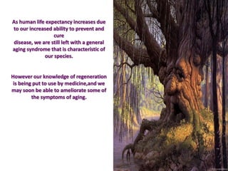 As human life expectancy increases due
to our increased ability to prevent and
cure
disease, we are still left with a general
aging syndrome that is characteristic of
our species.
However our knowledge of regeneration
is being put to use by medicine,and we
may soon be able to ameliorate some of
the symptoms of aging.
 
