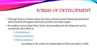 Post embryonic development of insects and metamorphosis | PPTX