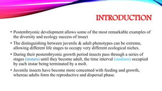 Post embryonic development of insects and metamorphosis | PPTX