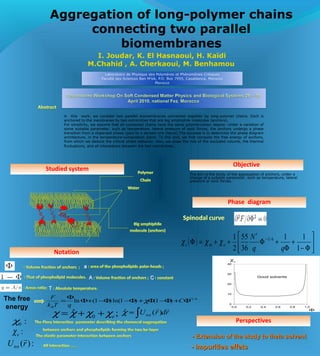 Aggregation of long-polymer chains
connecting two parallel
biomembranes
I. Joudar, K. El Hasnaoui, H. Kaïdi
M.Chahid , A. Cherkaoui, M. Benhamou
In this work, we consider two parallel biomembranes connected together by long-polymer chains. Each is
anchored to the membranes by two extremities that are big amphiphile molecules (anchors).
For simplicity, we assume that all connected chains have the same polymerization degree. Under a variation of
some suitable parameter, such as temperature, lateral pressure of ionic forces, the anchors undergo a phase
transition from a dispersed phase (gaz) to a densed one (liquid).The purpose is to determine the phase diagram
architecture, in the temperature-composition plane. To this end, we first compute the free energy of anchors,
from which we deduce the critical phase behavior. Also, we show the role of the excluded volume, the thermal
fluctuations, and all interactions between the two membranes..
The aim is the study of the aggregation of anchors, under a
change of a suitable parameter, such as temperature, lateral
pressure or ionic forces.
;ˆ 0 eχχχχ ++=
6/11
)1()1ln()1(ln Φ+Φ−Φ+Φ−Φ−+Φ
Φ
= C
qTk
F
B
χ
:0χ
:eχ
rdrUtot

∫≈ )(ˆχ
:)(rUtot

Phase diagram
Studied system
Objective
Notation
Perspectives
- Extension of the study to theta solvent- Extension of the study to theta solvent..
- Impurities effets- Impurities effets..
( ) 





Φ−
+
Φ
+Φ++=Φ −
∗
1
11
36
55
2
1 6/1
qq
N
emc χχχ
0,0 0,2 0,4 0,6 0,8 1,0
0
10
20
30
40
Good solvents
Φ
χc
 