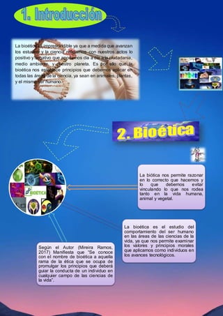 La bioéticaes imprescindible ya que a medida que avanzan
los estudios y la ciencia reflejamos con nuestros actos lo
positivo y negativo que aportamos día a día a la ciudadanía,
medio ambiente, y nuestro planeta. Es por ello que la
bioética nos establece principios que debemos aplicar en
todas las áreas de la ciencia, ya sean en animales, plantas,
y el mismo ser humano.
La biótica nos permite razonar
en lo correcto que hacemos y
lo que debemos evitar
vinculando lo que nos rodea
tanto en la vida humana,
animal y vegetal.
La bioética es el estudio del
comportamiento del ser humano
en las áreas de las ciencias de la
vida, ya que nos permite examinar
los valores y principios morales
que aplicamos como individuos en
los avances tecnológicos.
Según el Autor (Mireira Ramos,
2017) Manifiesta que “Se conoce
con el nombre de bioética a aquella
rama de la ética que se ocupa de
promulgar los principios que deberá
guiar la conducta de un individuo en
cualquier campo de las ciencias de
la vida”.
 