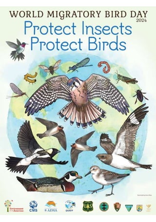 Protect Insects, Protect Birds - World Migratory Bird Day