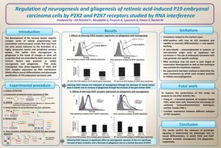 Regulation of neurogenesis and gliogenesis of retinoic acid-induced P19 embryonal
carcinoma cells by P2X2 and P2X7 receptors studied by RNA interference
Analyzed by : Ait Belcaid H , Boudjafad Z, Freyssin A, Lguensat A, Omari Z, Rachid M
The development of the nervous system requires
complex series of cellular programming and
intercellular communication events that lead from
the early neural induction to the formation of a
highly structured central and peripheral nervous
system. The switch from neurogenesis to
gliogenesis is the result of changes in stem cell
properties that are controlled by both extrinsic and
intrinsic factors that promote or inhibit
neurogenesis and gliogenesis. This study
investigated how down-regulation of P2X2 and
P2X7 receptor expression by RNA interference
(RNAi) affects neural differentiation and phenotype
specification of P19 embryonal carcinoma cells.
Introduction
Experimental procedure
1. Culture of P19 Cells
2. Construction of lentiviral vector expressing sh RNA
P19 cells
Sh RNA P2X2 Sh RNA P2X7
3. RTPCR  shRNA were evaluated for their efficiency in silencing mRNA
expression of P2X2 and P2X7 receptor
4. Determination of cell proliferation by flow cytometry
5. Western-blot
6. Flow cytometry quantification of neural and glial markers
expression
P2X2
P2X7
Β actin
antiβ tubuline
anti GFAP
2nd Antibody
Flow cytometry
quantification
Brdu
P19 cells
Ab anti Brdu
2nd Ab (Alexa) Flow cytometry analysis
P19 cells
Cell Lysis
2nd Anibodies
P2X2 R
P2X7 R
β-actin
Ab anti Brdu
2nd Ab (Alexa)
Protein
P2X2 P2X7
Flow cytometry analysis of β-3 tubulin expression Flow cytometry analysis of GFAP expression
Flow cytometry analysis of β-3 tubulin expression Flow cytometry analysis of GFAP expression
Results
I- Effects of silencing P2X2 receptor expression on gliogenesis and neurogenesis
RT-real time PCR analysis of β-3 tubulin gene expression RT-real time PCR analysis of GFAP gene expression
Silencing P2X2 induces the reduction of neurogenesis through the decrease of neural marker
beta-3 tubulin and an increase of gliogenesis through the increase of the glial marker GFAP.
II- Effects of silencing P2X7 receptor expression on gliogenesis and neurogenesis
RT-real time PCR analysis of β-3 tubulin gene expression RT-real time PCR analysis of GFAP gene expression
Silencing P2X7 induces no significant effect on neurogenesis, because of the non significant
increase of beta-3 tubulin, and a decrease of gliogenesis due to a marked decrease of GFAP.
The results confirm the relevance of purinergic
signaling in determining the phenotypic fate of
neural differentiation, in which P2X2 and P2X7
receptors promote neurogenesis and gliogenesis,
respectively.
Conclusion
To improve the performance of this study, we
propose to use other technics like:
• Using of : a bacterial plasmid, all receptors except
P2X1, other stem cells, fluorescence microscopy (or
confocal), immunohistochemistry techniques,
another marker HNK-1.
• Consider coexistence between different subtypes
of P2X receptors.
• Limitations related to the markers used :
• GFAP-positive cells may be still immature and
capable to neuronal differentiation => non specific
marking.
• III beta-tubulin : immunodetected in tumours of
non-neuronal origin such as squamous cell
carcinoma => The use of embryonal carcinoma cells
may generate non specific marking.
• RNAi technique may not work in later stages of
mammalian development as well as that technique
may activate the interferon response
• No experiment had been realised to determine the
exact mechanism by which each receptor promots
or inhibits neuro/gliogenesis
limitations
Futur work
 