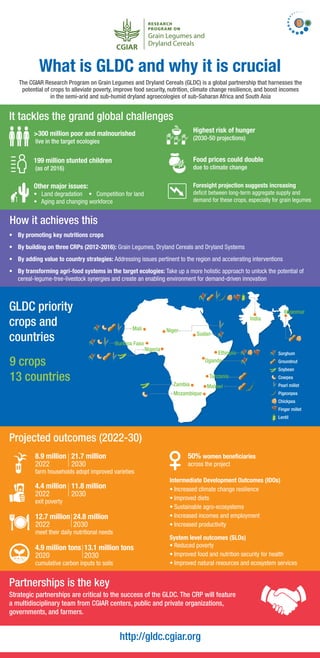 It tackles the grand global challenges
How it achieves this
9 crops
13 countries
Foresight projection suggests increasing
deficit between long-term aggregate supply and
demand for these crops, especially for grain legumes
•	 By promoting key nutritions crops
•	 By building on three CRPs (2012-2016): Grain Legumes, Dryland Cereals and Dryland Systems
•	 By adding value to country strategies: Addressing issues pertinent to the region and accelerating interventions
•	 By transforming agri-food systems in the target ecologies: Take up a more holistic approach to unlock the potential of
	 cereal-legume-tree-livestock synergies and create an enabling environment for demand-driven innovation
Partnerships is the key
System level outcomes (SLOs)
•	Reduced poverty
•	Improved food and nutrition security for health
•	Improved natural resources and ecosystem services
What is GLDC and why it is crucial
The CGIAR Research Program on Grain Legumes and Dryland Cereals (GLDC) is a global partnership that harnesses the
potential of crops to alleviate poverty, improve food security, nutrition, climate change resilience, and boost incomes
in the semi-arid and sub-humid dryland agroecologies of sub-Saharan Africa and South Asia
>300 million poor and malnourished
live in the target ecologies
Highest risk of hunger
(2030-50 projections)
199 million stunted children
(as of 2016)
Food prices could double
due to climate change
Strategic partnerships are critical to the success of the GLDC. The CRP will feature
a multidisciplinary team from CGIAR centers, public and private organizations,
governments, and farmers.
http://gldc.cgiar.org
Projected outcomes (2022-30)
meet their daily nutritional needs
cumulative carbon inputs to soils
Grain Legumes and
Dryland Cereals
Other major issues:
•	 Land degradation 		 • Competition for land
•	 Aging and changing workforce
GLDC priority
crops and
countries
Intermediate Development Outcomes (IDOs)
•	Increased climate change resilience
•	Improved diets
•	Sustainable agro-ecosystems
•	Increased incomes and employment
•	Increased productivity
farm households adopt improved varieties
exit poverty
8.9 million
4.4 million
12.7 million
4.9 million tons
21.7 million
11.8 million
24.8 million
13.1 million tons
2022
2022
2022
2020
2030
2030
2030
2030
50% women beneficiaries
across the project
 
