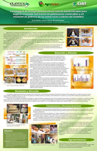Poster35: Tecnologias de manejo poscosecha de cultivos biofortificados para mejorar el estado nutricional de poblaciones vulnerables y en situación de pobreza de las zonas rural y urbana de Colombia 