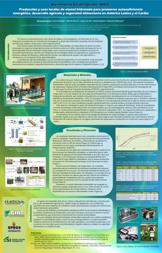 Poster36: Producción y usos locales de etanol hidratado para promover autosuficiencia energética, desarrollo agrícola y seguridad alimentaria en A.L. y el Carible: Biorefinerías rurales sociales (BIRUS)