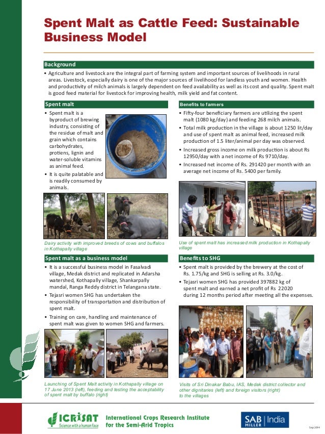 Spent Malt as Cattle Feed Sustainable Business Model