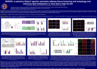 BAR501, a selective Gpbar1 agonist, promotes adipose tissue browning and autophagy and
improves lipid metabolism in mice feed a high fat diet
Adriana Carino*, Sabrina Cipriani#
, Silvia Marchianò*, Michele Biagioli* , Angela Zampella†
and Stefano Fiorucci*
*Dipartimento di Scienze Chirurgiche e Biomediche, Università degli Studi di Perugia, Nuova Facoltà di Medicina e Chirurgia , Sant’Andrea delle Fratte,Perugia, Italy
#
Dipartimento di Medicina, Università degli Studi di Perugia ,Nuova Facoltà di Medicina e Chirurgia, Perugia, Italy
†
Dipartimento di Farmacia, Università di Napoli Federico II, Napoli, Italy
Background. Non-alcoholic steatohepatitis (NASH) is the most common cause of chronic liver disease in Western countries. Despite several hypotheses have been proposed, the mechanisms of NASH remain poorly understood. Autophagy is an evolutionary conserved
catabolic process that delivers cell constituents to the lysosome for degradation. Autophagy plays beneficial roles in liver diseases as its activation ameliorates ethanol-induced hepatotoxicity and steatosis. Autophagy also regulates lipid accumulation in the body by controlling
the balance between white and brown fat. Thus, drugs enhancing liver and adipose autophagy might be useful for the treatment of NASH, metabolic syndrome and obesity.
Aim of the study. To investigate the effects of BAR501, a selective agonist for Gpbar1, on a murine model of non-alcoholic steatohepatitis.
Material and methods. Gpbar1 +/+
and Gpbar1 -/-
mice (C57BL6) were fed high fat diet (HFD) for 10 wk. Mice were than randomly assigned to groups and fed HFD + Fructose with or without BAR501 (15 mg/Kg body weight) for another 8 wk. 3T3-L1 pre-adipocytes were differentiated into mature
white adipocytes 4 days and then stimulated 24 hours with BAR501 (50µM).
Results. After 18 wk, mice on HFD gained approximately 30% more weight than control mice and developed NASH like features with severe steato-hepatitis with diffuse ballooning, foci of inflammatory infiltration and fibrosis (H/E and Sirius red staining). Exposure to BAR501
attenuated the body weight gain and severity of steato-hepatitis and fibrosis. HFD caused insulin resistance and increased glucose plasma levels; these features were reversed by BAR501. HFD increased the weight of epWAT and BAT. Exposure to a HFD increased the
expression of αSMA, Col1α1, CD36, FAS, Apoc2 and SREBP1C in the liver and expression of Leptin, Mcp1 in epWAT. These patterns were reversed by treating mice with BAR501 which also regulates Gpbar1-target genes as demonstrated by changes in the expression of
PDK4, PGC1α, Pfk2 in the liver and GLP-1, Fgf15 in intestine. Treating mice with BAR501 promoted a further increase in the epWAT and BAT weight and the browning of epWAT as measured by assessing expression of UCP1 Mrna and other browning markers (Prdm16,
Cebpβ and PGC1α). In addition BAR501 activates autophagic flux by inducing LC3 (protein by immune-histochemistry and mRNA) expression in liver and epWAT. Biomarkers of autophagic flux were reduced in Gpbar1 -/-
mice. Finally using 3T3-L1 we found that BAR501
promotes development of autophagic features in vitro.
Conclusions. BAR501, a selective GPBAr1 ligand, exerts beneficial effects of mouse mode of steatohepatitis and metabolic syndrome. BAR501 causes a Gpbar1-mediated autophagy and browning of white adipose tissue
0 2 4 6 8 10 12 14 16 18 20
0
4
8
12
16
20
24
28
32
36
40
BAR501
Time (weeks)
%Weightgain
0
2
4
6
%Deltaweight
Week9vsweek19
0 15 30 45 60 75 90 105 120
100
200
300
400
500
600
*
*
*
HFD + BAR501
HFD
Naive
Time (min)
Glucose(mg/dL)
HFD+BAR501
0
1
2
3
*
#
Steatosisscore
HFD
0
1
2
3
#
*
Fibrosisscore
Naive
0
1
2
3
4
5
αSma Col1α1
*
# #
*
rel.mRNAexpr.
0
1
2
3
LdlR Cd36 Abca1 Abcg5
#
*
rel.mRNAexpr.
0.0
0.2
0.4
0.6
*
#
Naive
HFD
HFD + BAR501
Inflammationscore
0
1
2
3
4
5
5
10
15
20
25
Fgf15 Fabp6 ShpGlp1
#
#
*
*
rel.mRNAexpr.
HFD+BAR501HFDNaive
0.0
0.5
1.0
1.5
2.0
*
#
EpWATweight(g)
0.0
0.1
0.2
0.3
*
BATweight(g)
HFD+BAR501HFDNaive
0.0
0.5
1.0
1.5
2.0
Prdm16 Cd137 Cited1 Cebpβ Pgc1α
*
Ucp1
#
#
#
* *
#
rel.mRNAexpr.
0.0
0.5
1.0
1.5
2.0
2.5
Lept Tnfα Il1β Mcp1 Ly71
*
*
*
#
#
#
#
rel.mRNAexpr.
HFD+BAR501HFDNaive
GPBAR1 +/+
control
NT
Chloroquine
Starvation
501
LC3 Tubulin DAPI Merge
501 + starvation- + - + - +
0.0
0.5
1.0
1.5
2.0
Chloroquine (50 µM)
*
* Not treated
Starvation
BAR501
LC3-II/LC3-Ilevels
relativetoGAPDH
0
5
10
15
80
130
180
230
Day 0
Day 4
Day 4 + BAR501
*
#
* *
*
#
Adipo Srebp1c Pparγ Fabp4
rel.mRNAexpr.
0
1
2
5
6
7
8
9
10
11
12
#
*
#
Ucp1 Pgc1α Pparα Fgf21
#
#
rel.mRNAexpr.
0
1
2
3
4
Atg5 Atg7 Atg12 Lc3
*
#
#
#
#
rel.mRNAexpr.
Gpbar1 -/-
Naive
Gpbar1 +/+
Naive
Gpbar1 -/-
HFD
Gpbar1 +/+
HFD
p62
LC3-II
Gpbar1 +/+
Gpbar1 -/-
Naive NaiveHFD HFD
GAPDH
0.0
0.5
1.0
1.5
*
LC3-II/GAPDH
0
1
2
3
4
Gpbar1+/+
Naive
Gpbar1 +/+
HFD
Gpbar1-/-
Naive
Gpbar1-/-
HFD
*
p62/GAPDH
LC3
Naive
HFD
HFD + BAR501
DAPI Merge
0.0
0.5
1.0
1.5
Atg5 Atg12 Lc3Atg7
* *
# #
#
*
*
#
rel.mRNAexpr.
0
1
2
3
4
Atg5 Atg12 Lc3Atg7
#
#
rel.mRNAexpr.
0
1
2
3
Srebp1c Fas ApoC2 Cpt1
*
*
*
*
rel.mRNAexpr.
0
1
2
3
4
GcK Pdk4 Pfk2 Pgc1α
#
*
#
#
rel.mRNAexpr.
LC3
DAPI Merge
+
Chlor (50 µM)LC3-I
LC3-II
Not treated
GAPDH
+ +- - -
Starvation BAR501
Figure 1: BAR501 reduced NASH live feature and lipid partition in mice fed HFD-F Mice were fed a HFD and fructose for 18 weeks. BAR501 was administered at the dose of 15
mg/kg/day starting on day 63 (week 9) for additional 9 weeks. The data shown are (A) body weight (% delta weight); (B) Glycemic response to oral glucose tolerance test (OGTT) after 15
weeks of HFD. The data shown in Panels A-B, are mean ± SE of 9 mice. (C) Hematoxylin and eosin (H&E) staining and (D) Sirius Red staining of liver tissues. The data are mean ± SE of 9
mice. Panels E-F. Impact of BAR501 on (E) steatosis (steatosis score), inflammation (inflammation score), (F) Fibrosis score and hepatic expression of αSMA and COL1α1 mRNA. Results
are the mean ± SE of 5-9 mice per group. *p<0.05 versus naive mice, # p<0.05 versus HFD mice. (Figure 1, A - F).
A. B. C. E.
D. F.
A.
B.
C.
Figure 2: BAR501 improved morphometry and promotes the browning of epWAT. (A) H&E
staining on mice epWAT tissues. Magnification is 20X; (B) Immunohistochemistry analysis of UCP1 in
epWAT. Magnification is 20x. (C) Effects of BAR501 on epWAT and BAT weight. Panels D-E:
Changes in mRNA expression of epWAT genes: (D) brite/beige transdifferentiation, (E) adipose tissue
inflammation. Results are the mean ± SE of 5 mice per group. *p<0.05 versus naive mice, # p<0.05
versus HFD mice. (Figure 2, A - E).
D.
E.
A.
B. C.
Figure 3: Effects of BAR501 on liver, muscle and intestinal metabolism. (A)
Change in transcript levels of genes involved in regulating Triacylglycerols and fatty acid
metabolism and Cholesterol metabolism, in liver. (B) mRNA relative expression of
Gpbar1-target genes PDK4, PGC1α, Pfk2 in the liver and GLP-1, Fgf15 in intestine.
Results are the mean ± SE of 5 mice per group. *p<0.05 versus naive mice, # p<0.05
versus HFD mice. (Figure 3, A - C).
Figure 4: BAR501 activates autophagy. (A) Immunofluorescence analysis of LC3 in liver
sections from mice fed with normal chow diet or HFD-F and then treated with BAR501.
Magnification is 63x. BAR501 administration increased LC3 staining level and autophagosomes
formation compared to control mice and mice feed or HFD-F. Analysis of mRNA expression of
genes involved in autophagy in the (B) Liver and (C) epWAT Results are the mean ± SE of 5-9
mice per group. *p<0.05 versus naive mice, # p<0.05 versus HFD mice. (Figure 4, A – C).
Figure 5: Feeding a HFD-F impact differentially on autophagy in wild type and Gpbar1-/-
mice.
Mice were fed a HFD and fructose for 18 weeks. (A) Immunofluorescence analysis of LC3 in liver
sections from Gpbar1+/+
and -/-
mice treated with a HFD-F or normal chow diet. Magnification is 63x.
(B) HFD impact on autophagic flow: representative western blots with p62, LC3-I/LC3-II and
GAPDH antibodies; densitometric analysis from blots corresponding to all samples; data are
presented as mean ± SE relative to GAPDH. The blots shown are cutouts relative to a single blot.
*p<0.05 versus naive mice, # p<0.05 versus HFD mice. (Figure 5, A – C).
A. B.
C.
A. B.
C.
A. B.
E. F.
Figure 6: Exposure of 3T3-L1 cells to BAR501 induces autophagy and brite transdifferentiation. 3T3-L1 were differentiated 4 days and then stimulated 24 hours with 50 μM BAR501.
Total RNA was extracted from cells and used to evaluate the relative mRNA expression of (A) adipogenic marker genes, (B) genes involved in brite differentiation and (C) autophagic genes by
RT-PCR. Results are the mean ± SE of 2 experiments. *p<0.05 versus undifferentiated cells (Day 0); # p<0.05 versus differentiated cells (Day 4). Values are normalized to GAPDH, the
relative mRNA expression is expressed as 2(-ΔΔCt)
. Autophagy activation was detected by a LC3 staining on 3T3-L1 differentiated cells. (B) Immunofluorescence revealed that cells treated with
BAR501 (50 µM) 18h (pre-starved or not) showed an enhanced LC3 staining as well as chloroquine treated cells and starved cells (positive controls) compared with control cells. Magnification
63x. (C) Identification of active form of LC3 (LC3-II) by Western blot analysis: exposure of 3T3–L1 cells to BAR501 in presence of chloroquine (50 µM) (used as lysosomes inhibitor) increased
the ratio LC3-II/LC3-I protein. The blot shown is representative of two others showing the same pattern. *p<0.05 versus Not Treated cells. (Figure 6, A - F).
C. D.
 