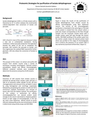 Proteomic Strategies for purification of lactate dehydrogenase
                                                     Gaurav Dwivedi,Hareesha Kakkera
                                        Department of Chemistry Umeå University, SE-901 87 Umeå, Sweden
                                                           Contact: gadu0002@student.umu.se



Background:                                                     Disruption of cells using         Results:
                                                                     homogenizer.

lactate dehydrogenase (LDH) is a 35 kda enzyme with a                                             Figure 2 shows the results of the purification of
theoretical pI of 7.5 which catalyses the nicotinamide                                            lactate dehydrogenase from chicken muscle by
cofactor-dependent inter conversion of lactate and                                                affinity chromatography using Blue Sepharose
pyruvate.                                                                                         column. The success of the chromatographic
                                                                                                  purification is illustrated in the same figure 2.The bulk
                                                                                                  of the protein is eluted from the column where a
                                                                                                  peak was shown corresponding to the flow through
                                                              Centrifugation ensuring debris      samples and the enzymatic activity elutes with a
                                                                         Removal
                                                                                                  smaller protein peak half way through the elution
                                                                                                  profile. SDS-PAGE profiling of this protein peak from
                                                                                                  the elution sample shows the desired protein band
LDH is found in most of the organisms because it plays                                            which was purified at this stage of chromatography
a vital role in carbohydrate metabolism. During                                                   and it confirms the presence of our protein after it
conditions in which pyruvate production from glycolysis                                           was stained by Coomassie brilliant blue. (Figure 1).
exceeds the ability of the cell to metabolize the
pyruvate, LDH converts the pyruvate to lactate, and
thus regenerates the oxidized NAD required for further
glycolysis. LDH also allows the conversion of lactate to       Precipitation/concentration
                                                               using Ammonium Sulphate
pyruvate.



Aim:
The purpose of this study is to extract and purify LDH
enzyme from chicken muscle using a variety of
techniques including centrifugation, selective protein
precipitation, dialysis and affinity chromatography.             Dialysis for salt Removal
Different analytical methods were employed to                                                       Figure 1:SDS –PAGE profiling: SDS-PAGE pattern of protein fractions obtained during
                                                                                                    purification of LDH from chicken heart muscle. Arrow indicates the position of
determine the presence and purity of LDH enzyme.                                                    purified LDH protein band obtained after stepwise gradient elution fractions from
                                                                                                    Blue sepharose column (1M NaCl in 10 mM Tris-HCl, pH 7.4).


Methods:
Extraction of LDH enzyme from chicken muscle is
achieved by placing frozen chicken cubes (50 gm) in
100 ml of extraction buffer (20mM Tris-HCl, pH 8.6)
,homogenization and removal of the cell debris is done           Purification through blue
                                                                    sepharose affinity
by using homogenizer and centrifuge respectively                     chromatography.
followed by precipitating the proteins at 35% and 70 %
                                                                                                     Figure 2: Blue Sepharose affinity chromatography :A 70% Ammonium sulphate cut
ammonium sulphate fractionation and removal of                                                       of the crude extract was subjected to Dialysis for removal of excess salts and ,
excess salts from the Dialysis method. The purification                                              applied to a Blue Sepharose column, then eluted with a stepwise gradient elution
                                                                                                     fractions as described in Methods. The fractions collected were assayed for LDH
of the protein is performed by affinity                                                              activity and SDS-PAGE analysis.

chromatography.Then our desired protein binds
strongly to the column and eluted as stepwise gradient                                            References:
                                                                                                  1.Alcazar O, Tiedge M, Lenzen S ,2000 ,Importance of lactate dehydrogenase for the
elution at later stages of chromatography. In this lab                                            regulation of glycolytic flux and insulin secretion in insulin-producing cells. Biochem
we used a blue Sepharose affinity column to purify                                                J352:373–380.
                                                                                                  2.Allen R. Place and Dennis A. Powers ,1984, Purification and Characterization of the
LDH,and subsequently purity and concentration of LDH           Analyze Purified Protein through
                                                                                                  Lactate Dehydrogenase (LDH-B4) Allozymes of Fundulus heterocZitus,JBC, Vol. 259, No. 2,
                                                                         SDS PAGE.
is determined using activity assays and SDS-PAGE.                                                 pp. 1299-1308.
                                                                                                  3.Hultin, H. O., and J. H. Southard. 1967. Cellular distribution of lactate dehydrogenase in
                                                                                                  chicken breast muscle. J. Food Sci.32:503–510.

                                                                                                   Acknowledgments:
                                                                                                   Special thanks and recognition to Aaron Edwin and Moritz
                                                                                                   Müller our lab supervisors and Karina Persson coordinator
                                                                                                   for the Program at Dept of Chemistry, Umeå university.
 