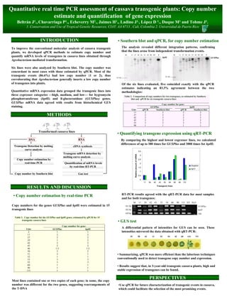 Quantitative real time PCR assessment of cassava transgenic plants: Copy number
                  estimate and quantification of gene expression
     Beltrán J1., Chavarriaga P1., Echeverry M2., Jaimes H1., Ladino J1., López D 1., Duque M1 and Tohme J1.
             1. Conservation and Use of Tropical Genetic Resources, CIAT, AA 6713 , Cali, Colombia 2. Universidad de Puerto Rico


                          INTRODUCTION                                               • Southern blot and qPCR, for copy number estimation
To improve the conventional molecular analysis of cassava transgenic                         The analysis revealed different integration patterns, confirming
plants, we developed qPCR methods to estimate copy number and                                that the lines arose from independent transformation events.
                                                                                               M    11 27 42 43 53 54 90 NT                                   P                      M         11 27 42 43 53 54 90 NT             P
quantify mRNA levels of transgenes in cassava lines obtained through                                                                                                   hptII                                                           GUSPlus
Agrobacterium-mediated transformation.

Six lines were also analyzed by Southern blot. The copy number was
concordant in most cases with those estimated by qPCR. Most of the
transgenic events (86.6%) had low copy number (1 or 2), thus                                                                                                              0.5 kb
                                                                                    0.5 kb
corroborating that Agrobacterium generally inserts a low copy number
of transgenes into plants.                                                                   Of the six lines evaluated, five coincided exactly with the qPCR
                                                                                             estimates indicating an 83.3% agreement between the two
Quantitative mRNA expression data grouped the transgenic lines into                          methodologies:
three expresser categories —high, medium, and low— for hygromycin                             Table 2. Comparison of copy numbers for two transgenes, as estimated by Southern
phosphotransferase (hptII) and ß-glucuronidase (GUSPlus) genes.                                      blot and qPCR for six transgenic cassava lines
GUSPlus mRNA data agreed with results from histochemical GUS                                                                                                Copy number for gene:
staining.                                                                                                                                          GUSPlus                                                   hptII
                                                                                                        Line                               qPCR        Southern blot         qPCR                                Southern blot
                                                                                                          11                                 2              2                  2                                      2
                                METHODS                                                                   27
                                                                                                          42
                                                                                                                                             2
                                                                                                                                             2
                                                                                                                                                            2
                                                                                                                                                            3
                                                                                                                                                                               2
                                                                                                                                                                               2
                                                                                                                                                                                                                      2
                                                                                                                                                                                                                      3
                                                                                                          43                                 2              2                  2                                      2
                                                                                                          53                                 3              3                  3                                      3
                                                                                                          90                                 1              1                  1                                      1

                        Transformed cassava lines
                                                                                    • Quantifying transgene expression using qRT-PCR
               DNA                                           RNA                         By comparing the highest and lowest expresser lines, we calculated
                                                                                         differences of up to 380 times for GUSPlus and 3000 times for hptII:
  Transgene Detection by melting                        cDNA synthesis
          curve analysis
                                                                                                                                     3.5
                                               Transgene mRNA detection by
                                                                                                           Relative amount of mRNA




                                                                                                                                      3
                                               melting curve analysis
    Copy number estimation by                                                                                                        2.5
         real-time PCR                          Quantification of mRNA levels                                                         2
                                                                                                                                                                                                                 Gusplus
                                                   by real-time RT-PCR                                                               1.5
                                                                                                                                                                                                                 hpt II
                                                                                                                                      1
   Copy number by Southern blot                              Gus test
                                                                                                                                     0.5

                                                                                                                                      0
                                                                                                                                           11     29    42    43        52     54        60    90    131

              RESULTS AND DISCUSSION                                                                                                                         Transgenic lines




  • Copy number estimation by real-time PCR                                                  RT-PCR results agreed with the qRT-PCR data for most samples
                                                                                             and for both transgenes:
                                                                                                         M                           11     29    42 43           52      54        60        90 131 NT H2O
 Copy numbers for the genes GUSPlus and hptII were estimated in 15                             181 bp                                                                                                                      GUSPlus
 transgenic lines                                                                              182 bp                                                                                                                      hptII
                                                                                               169 bp                                                                                                                      18S
   Table 1. Copy number for the GUSPlus and hptII genes, estimated by qPCR for 15
          transgenic cassava lines
                                                                                     • GUS test
                                             Copy number for gene:
             Line                    GUSPlus                     hptII
                                                                                             A differential pattern of intensities for GUS can be seen. These
               2                        1                           1                        intensities mirrored the data obtained with qRT-PCR:
              11                        2                           2
              27                        2                           2                               29                               90     43         11         52           54        42         60     131            NT
              29                        1                           2
              42                        2                           2
              43                        2                           2
              46                       1-2                         1-2
              50                        2                           2
              51                        2                           1               • Summarizing, qPCR was more efficient than the laborious techniques
              52                        1                           1
              53                        3                           3               conventionally used to detect transgene copy number and expression.
              55                        3                           3
              60                        1                           1
                                                                                    • Results suggest that, in 3-year-old transgenic cassava plants, high and
              90                        1                           1
             131                        1                           1               stable expression of transgenes can be found.


 Most lines contained one or two copies of each gene; in some, the copy
                                                                                                                                                  PERSPECTIVES
 number was different for the two genes, suggesting rearrangements of                 •Use qPCR for future characterization of transgenic events in cassava,
 the T-DNA                                                                            which could facilitate the selection of the most promising events.
 