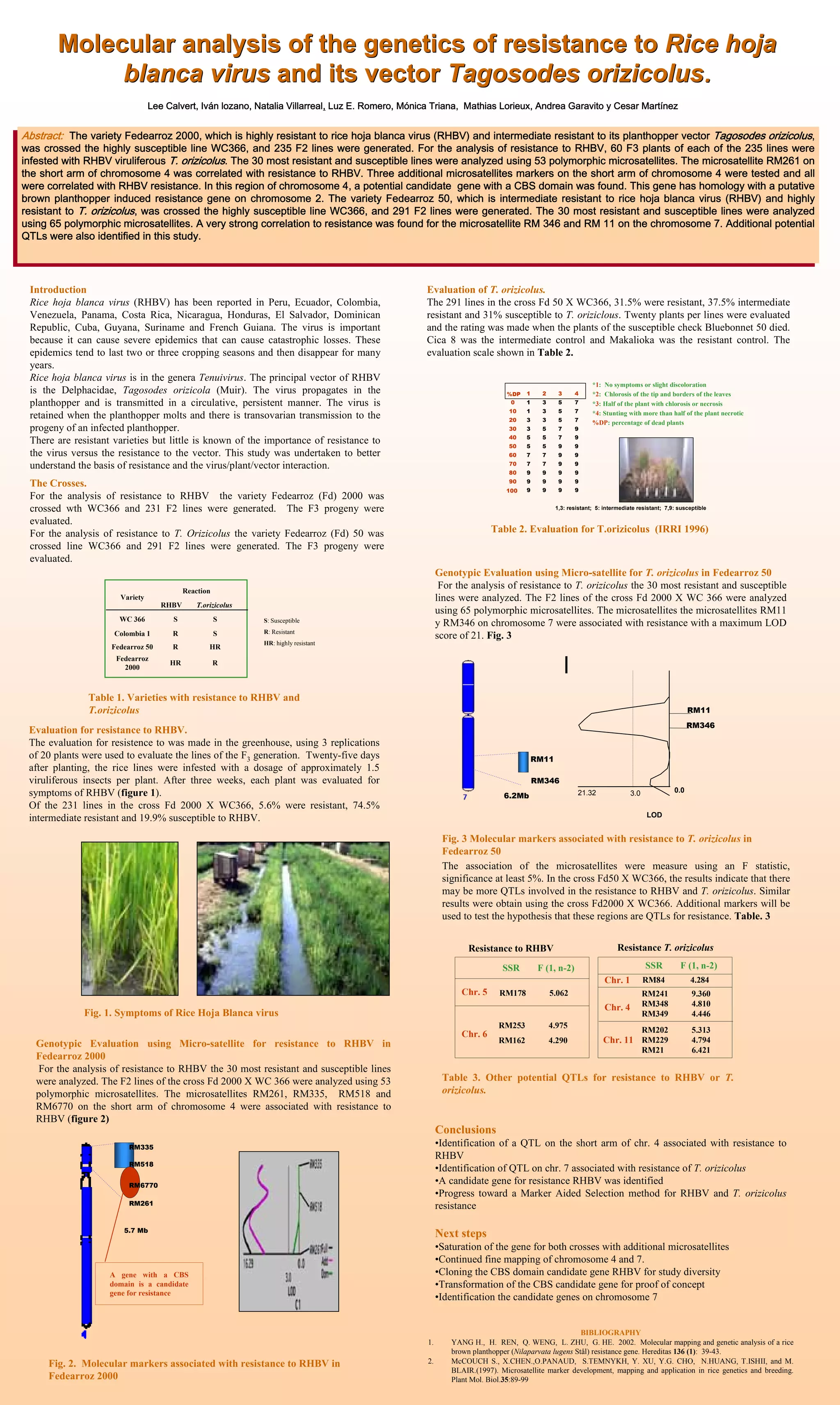 Poster78 Molecular analysis of the of resistance to rice hoja
