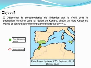 Objectif
 Déterminer la séroprévalence de l’infection par le VWN chez la
population humaine dans la région de Kenitra, située au Nord-Ouest du
Maroc et connue pour être une zone d’épizootie à WNV.




        Zone d'épizootie
        équine



        Zone de l'étude




                           Carte des cas équins de VWN Septembre 2010
                                           (Source Invs)
 