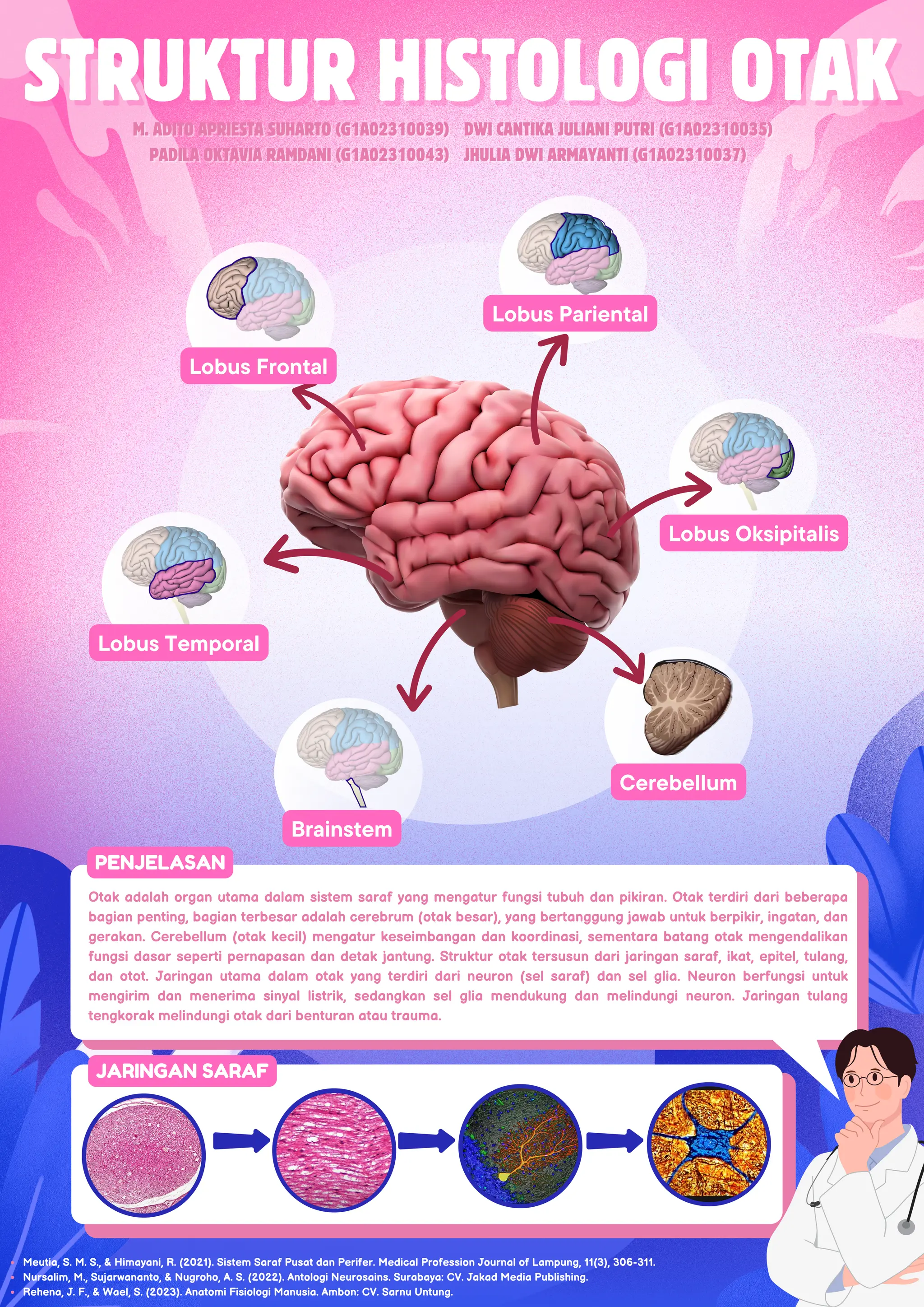 Anatomy and Histology of the Human Brain | PDF